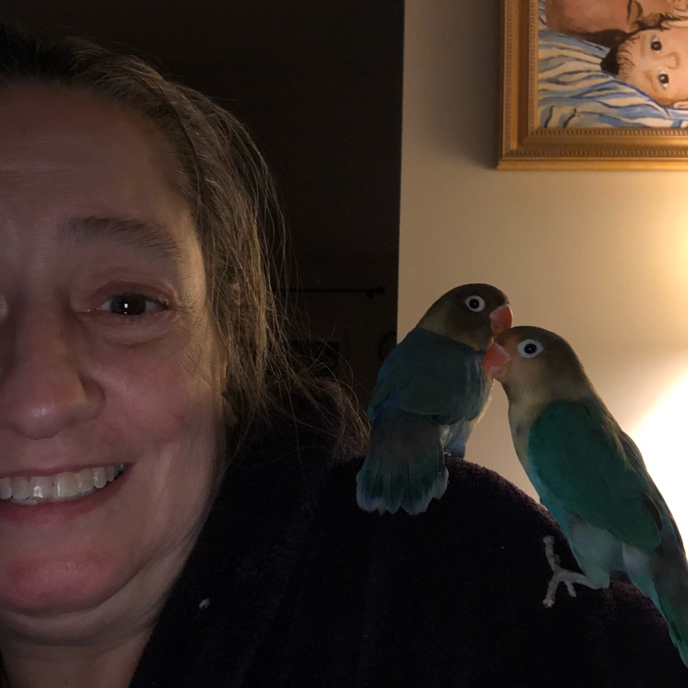 Meet your Posher, Kim